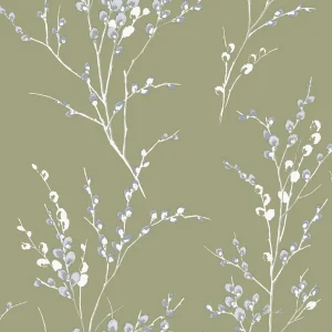 Pussy Willow Commande En Gros