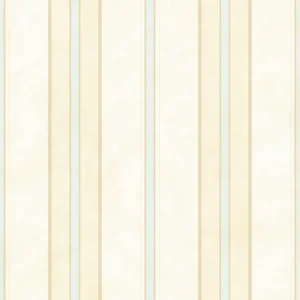 Blue Stripe Paiement Sécurisé