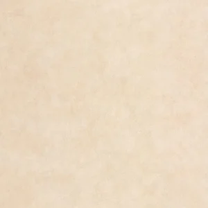 Beige Plain Nouveauté