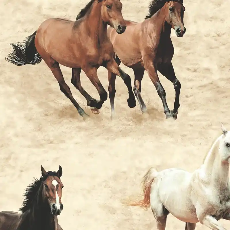 Stone Galloping Horses Commander Maintenant