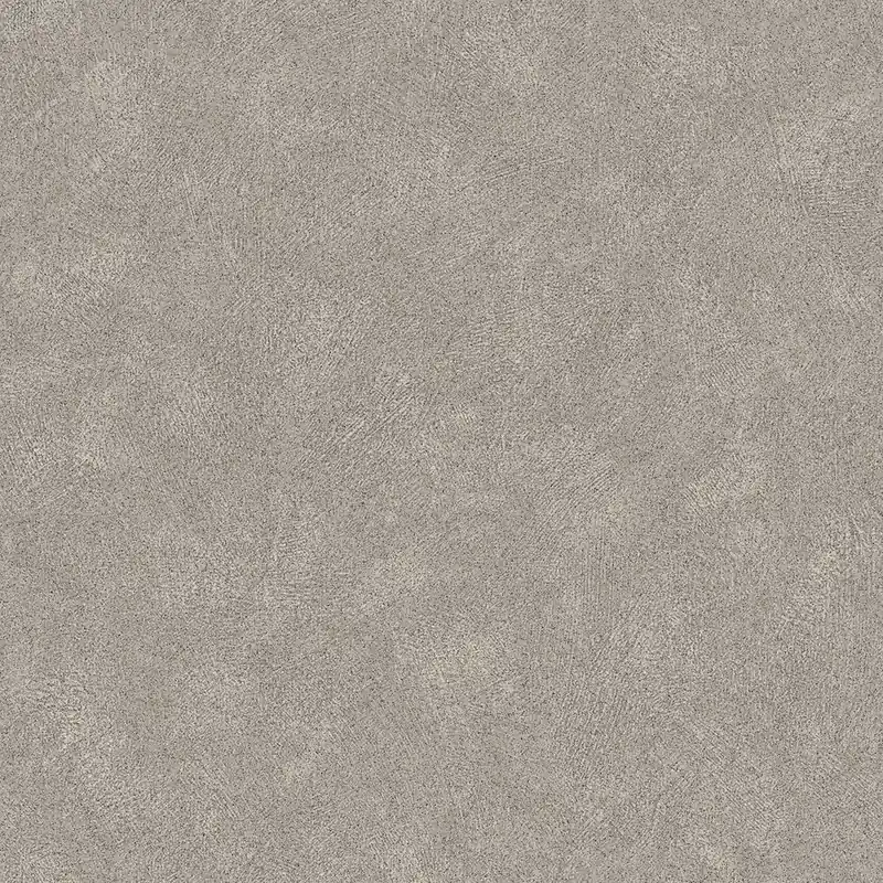Enduit Beige Authentique