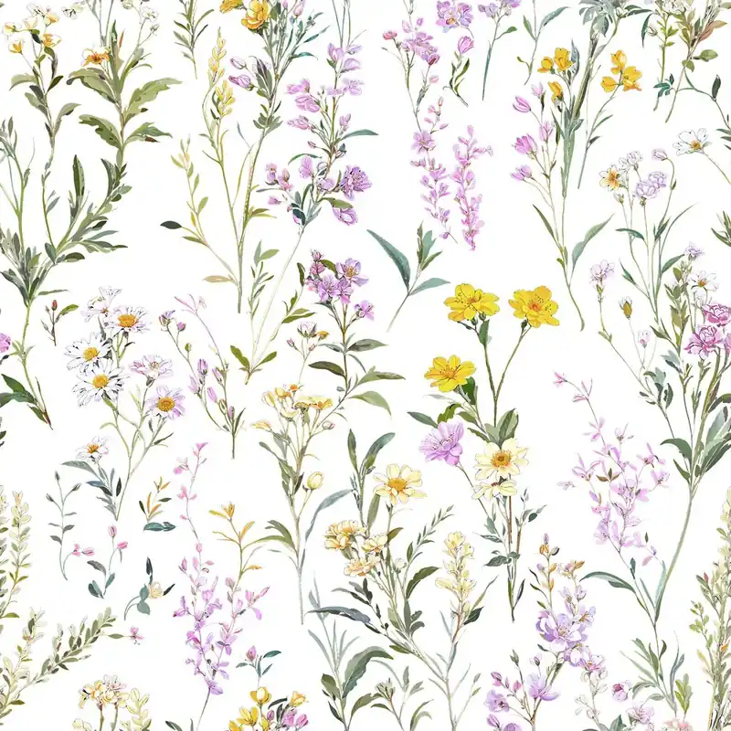 Expédition Rapide Gunnel White