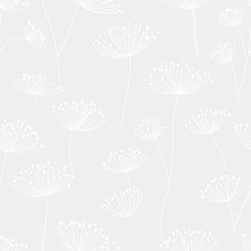 Quantité Limitée Odd White