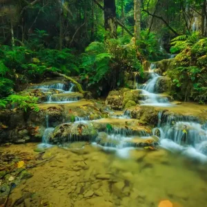 Wonderful waterfall in thailand Pugang waterfall chiangrai Prix Cassé