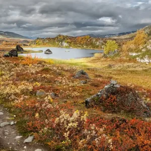 Wildes Lappland - Nordschweden Prix Cassé