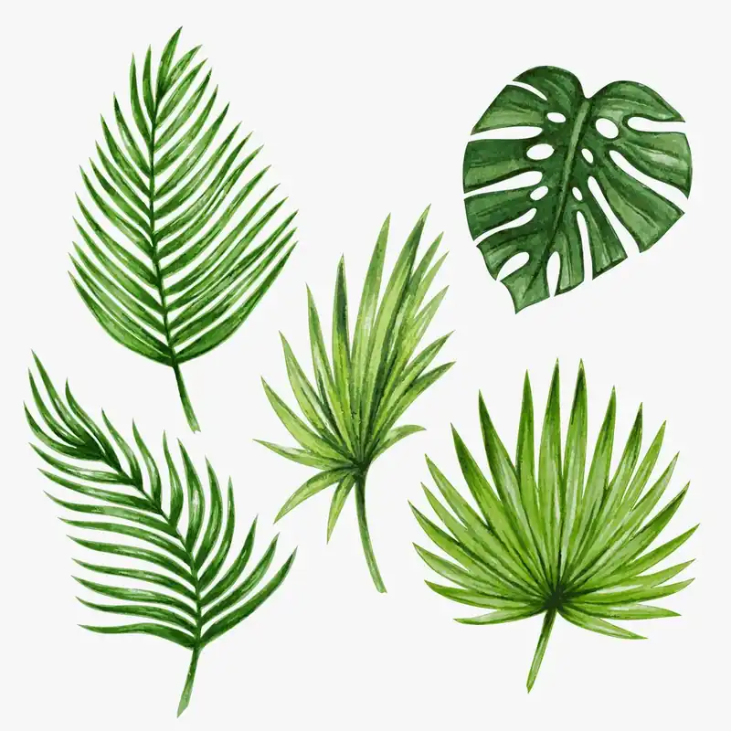 Watercolour Tropical Leaves II Produit De Marque