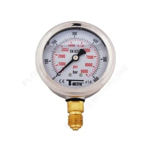 Manomètre radial à bain de glycérine 0 - 10 bar M 1/4" 1613006 - T-METER Prix Bas