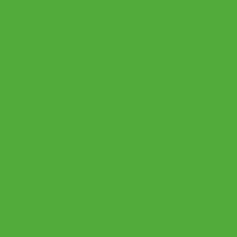 111454 - Fond studio VIDEO CHROMA GREEN - 2.72MX11M Meilleure Vente