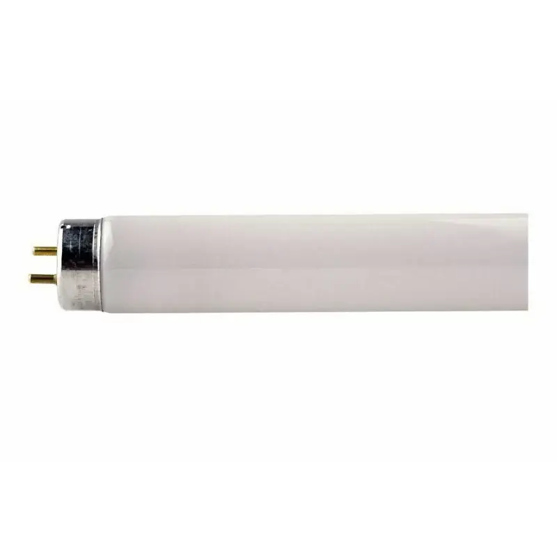 Philips 718433 Ampoule TL-mini 8W T5 410Lm Paiement Sécurisé
