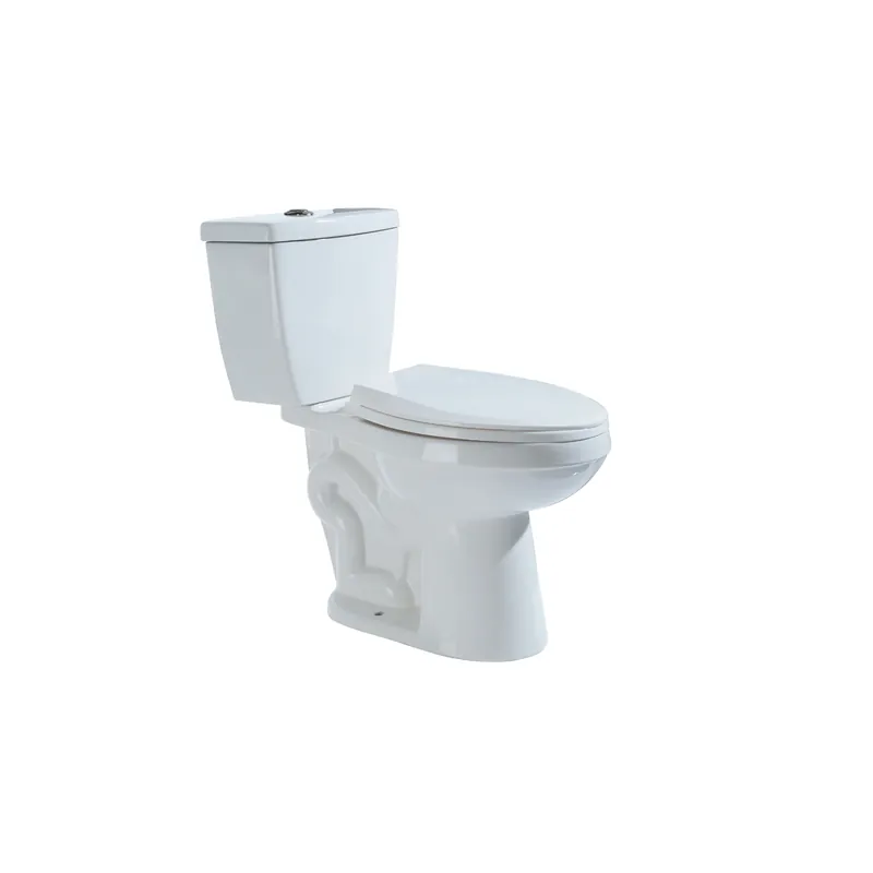 Affaire À Saisir Toilette allongée 2 pièces